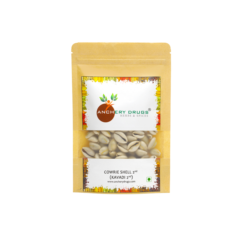 Kavade Shells Buy Kavadi online |Kaudi - Cowry Shells for Pooja